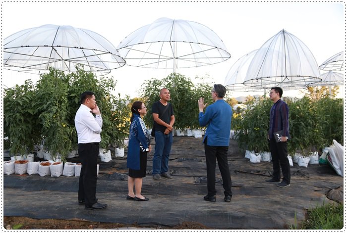 อธิบดีณัฐพล ลงพื้นที่เชียงใหม่ รุดทาบทามบิ๊กบราเธอร์ ร่วมส่งเสริมผู้ประกอบการด้านดิจิทัล