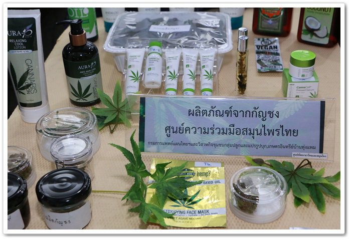 กระทรวงอุตฯ นำเสนอทิศทางการพัฒนาผลิตภัณฑ์กัญชง หวังสร้างมูลค่าเพิ่มทางเศรษฐกิจ