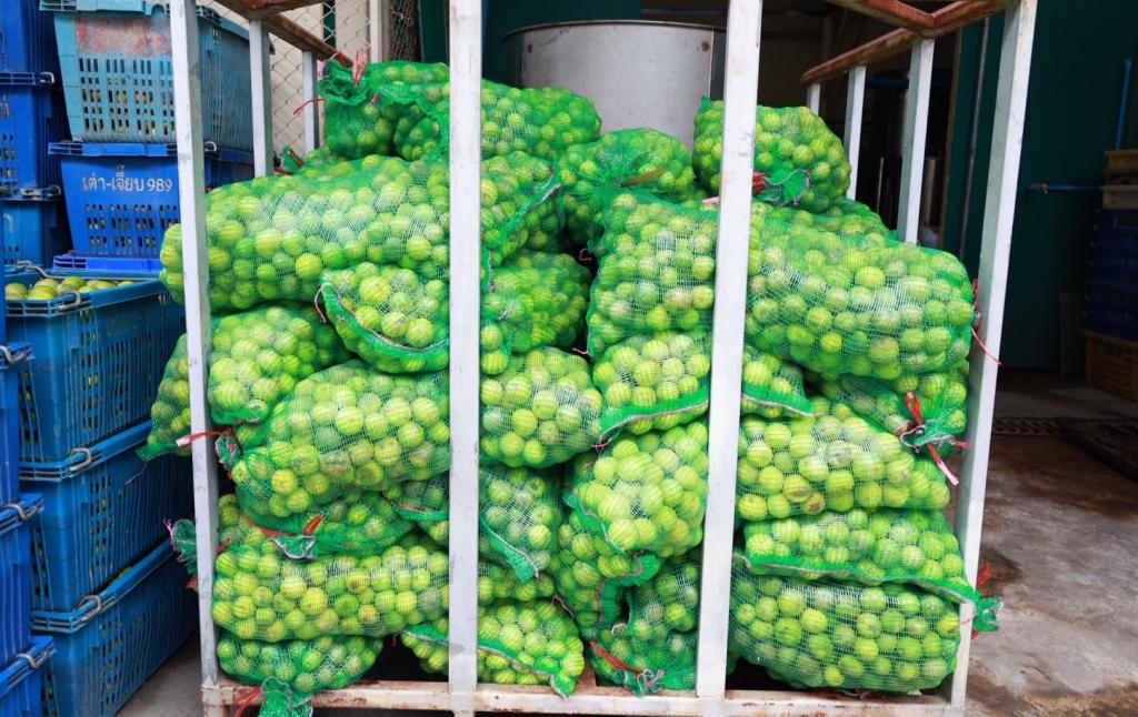 “อธิบดีณัฏฐิญา” นำทีมสื่อมวลชน บุกเมืองพริบพรี เยี่ยมชม “เลม่อน โกลด์” ต้นแบบแปรรูปมะนาว GI  เตรียมหนุนต่อยอด “เปลือกมะนาว” สู่ “หนังเทียม” ดัน ศก. 1.2 พันล้าน