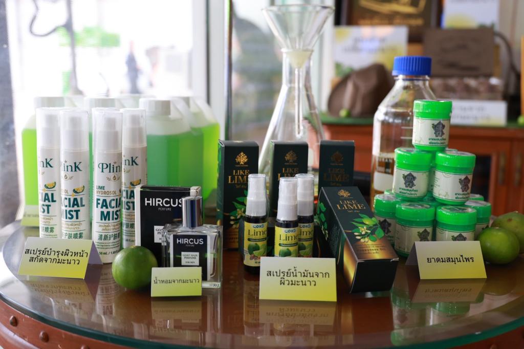 “อธิบดีณัฏฐิญา” นำทีมสื่อมวลชน บุกเมืองพริบพรี เยี่ยมชม “เลม่อน โกลด์” ต้นแบบแปรรูปมะนาว GI  เตรียมหนุนต่อยอด “เปลือกมะนาว” สู่ “หนังเทียม” ดัน ศก. 1.2 พันล้าน