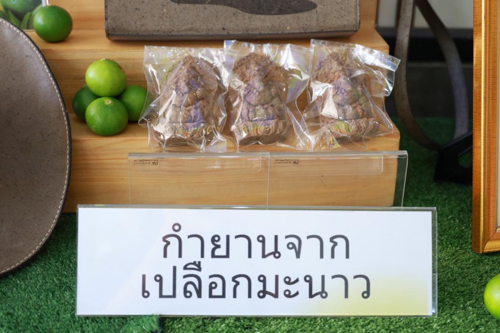 “อธิบดีณัฏฐิญา” นำทีมสื่อมวลชน บุกเมืองพริบพรี เยี่ยมชม “เลม่อน โกลด์” ต้นแบบแปรรูปมะนาว GI  เตรียมหนุนต่อยอด “เปลือกมะนาว” สู่ “หนังเทียม” ดัน ศก. 1.2 พันล้าน