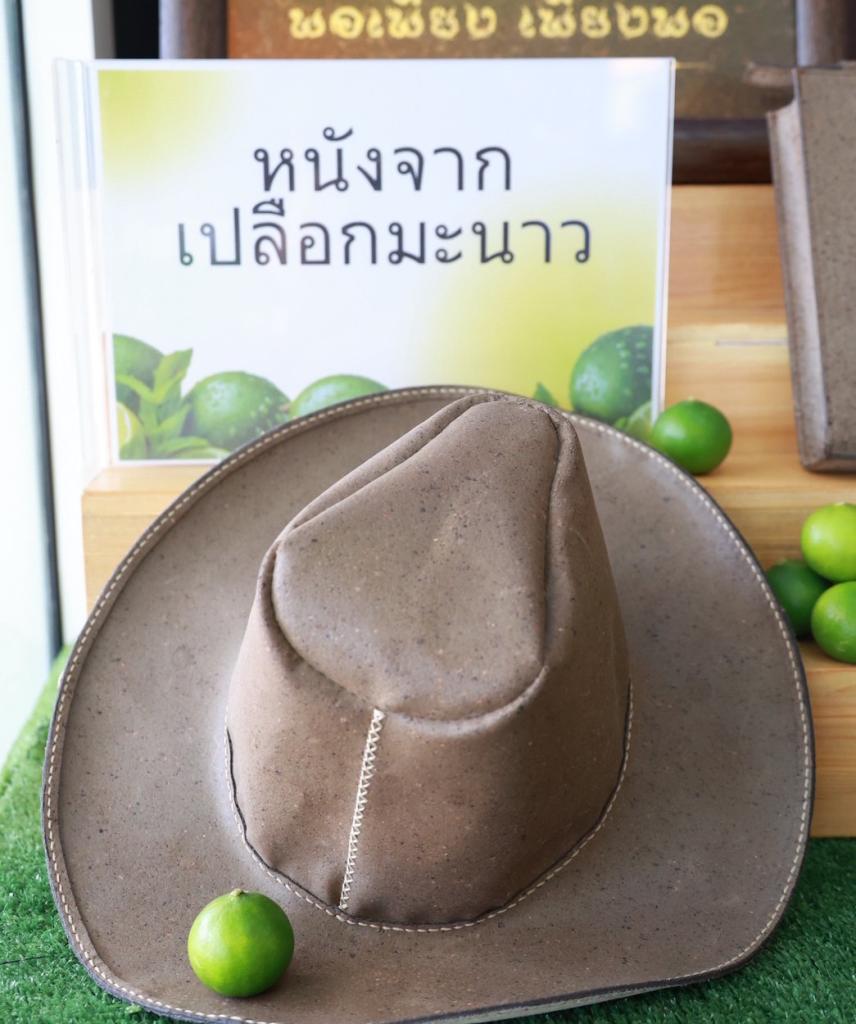 “อธิบดีณัฏฐิญา” นำทีมสื่อมวลชน บุกเมืองพริบพรี เยี่ยมชม “เลม่อน โกลด์” ต้นแบบแปรรูปมะนาว GI  เตรียมหนุนต่อยอด “เปลือกมะนาว” สู่ “หนังเทียม” ดัน ศก. 1.2 พันล้าน