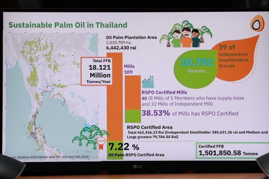 “ดีพร้อม” หารือ RSPO เดินหน้ายกระดับอุตสาหกรรมปาล์มน้ำมันไทยสู่มาตรฐานโลกยั่งยืน