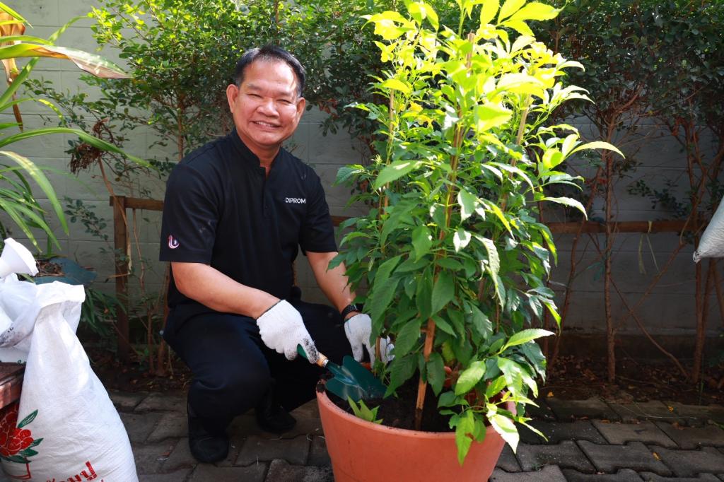 “อธิบดีณัฏฐิญา” นำทีมดีพร้อม ขับเคลื่อนองค์กรสีเขียว ปลูกต้นไม้เสริมภูมิทัศน์ ลดคาร์บอน ลดโลกร้อน