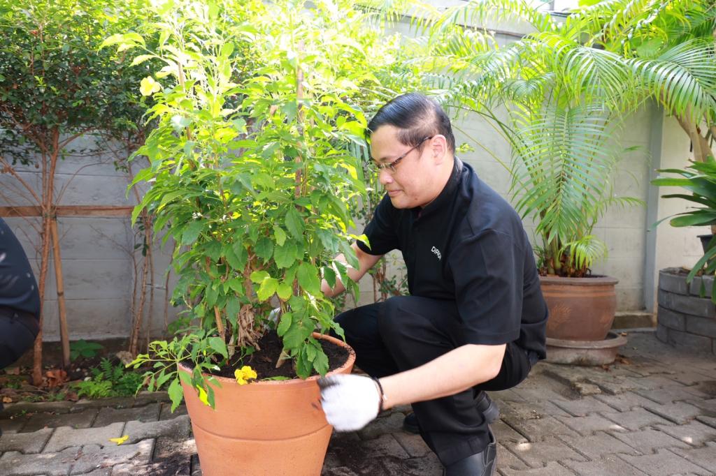“อธิบดีณัฏฐิญา” นำทีมดีพร้อม ขับเคลื่อนองค์กรสีเขียว ปลูกต้นไม้เสริมภูมิทัศน์ ลดคาร์บอน ลดโลกร้อน