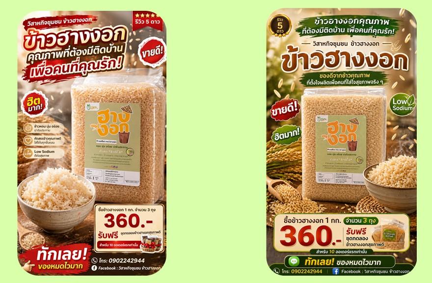 “อธิบดีณัฏฐิญา” รุกขับเคลื่อนเศรษฐกิจกลุ่มสนุก ยกระดับอุตสาหกรรมข้าวสู่เกษตรอุตสาหกรรมมูลค่าสูง