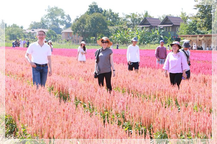 กสอ. โชว์ผู้ประกอบการ THAI LGBT CONNECT เซอร์วิสดีไซน์สุดล้ำที่ออกแบบมาเฉพาะเข้าใจคุณที่สุด