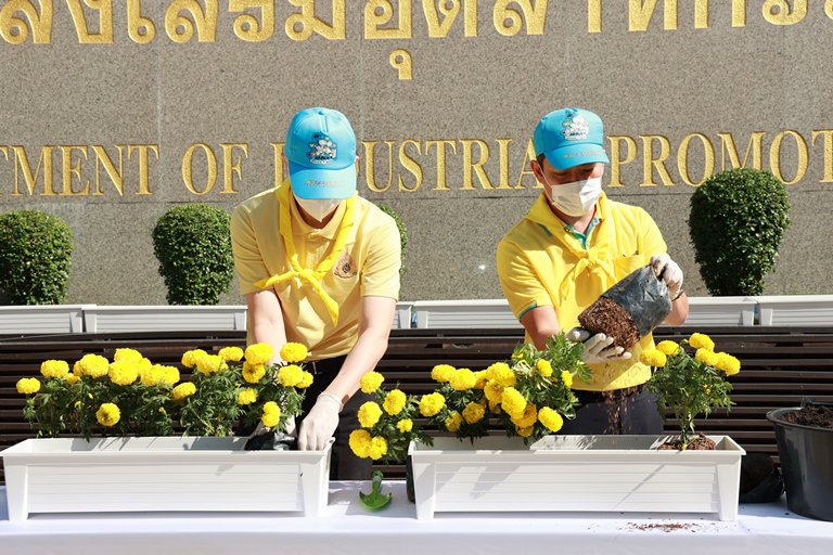 “อธิบดีณัฐพล” ดีพร้อม ร่วมปลูกต้นไม้ของพ่อทำความดีด้วยหัวใจ เนื่องในวันคล้ายวันพระบรมราชสมภพ พระบาทสมเด็จพระบรมชนกาธิเบศร มหาภูมิพลอดุลยเดชมหาราช บรมนาถบพิตร วันชาติ และวันพ่อแห่งชาติ 5 ธันวาคม 2564