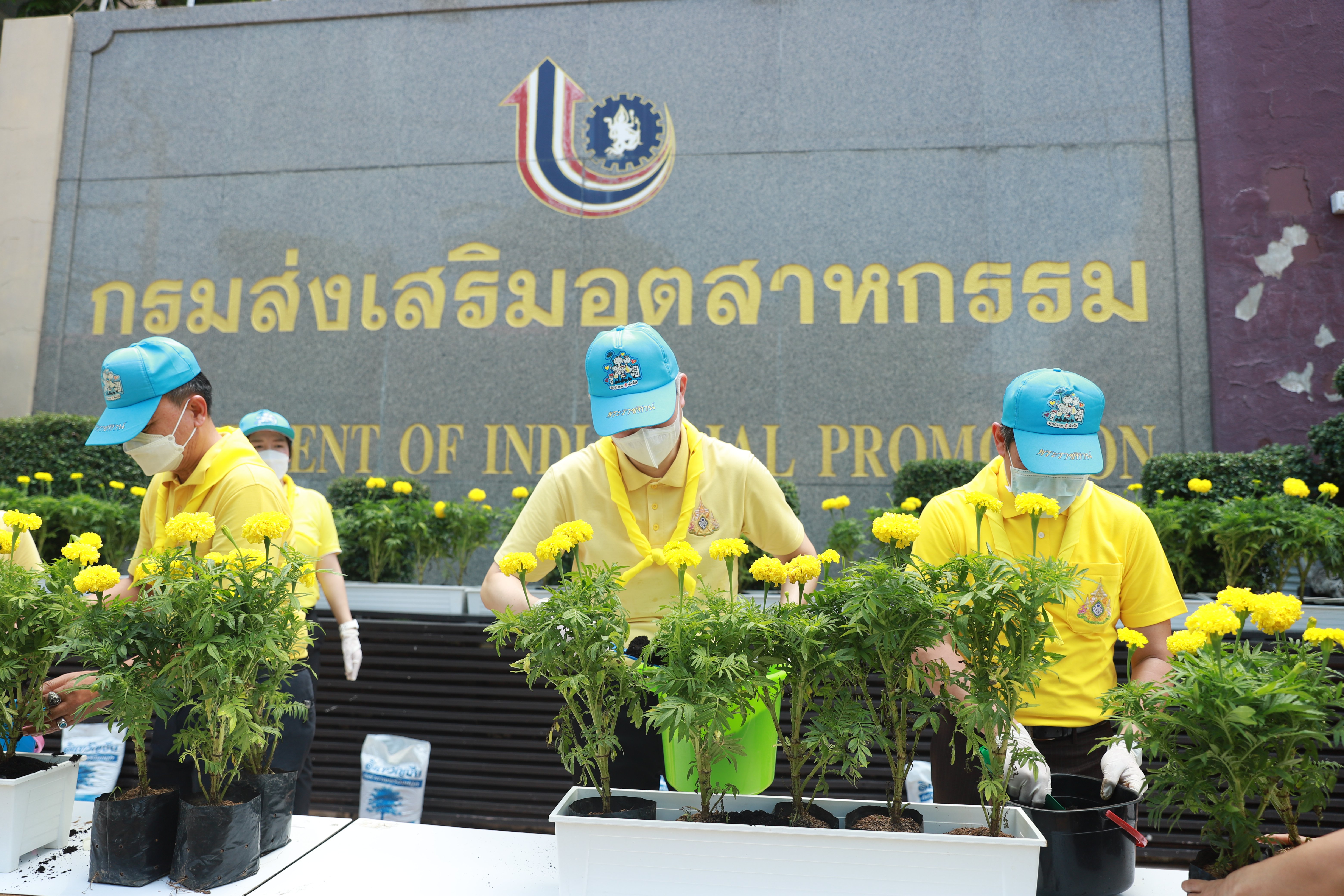 “อธิบดีณัฐพล” นำทีมดีพร้อมทั่วประเทศ! ทำกิจกรรมจิตอาสาทำความดีเพื่อสังคม ถวายเป็นพระราชกุศล เนื่องในโอกาสวันเฉลิมพระชนมพรรษา พระบาทสมเด็จพระเจ้าอยู่หัวฯ 