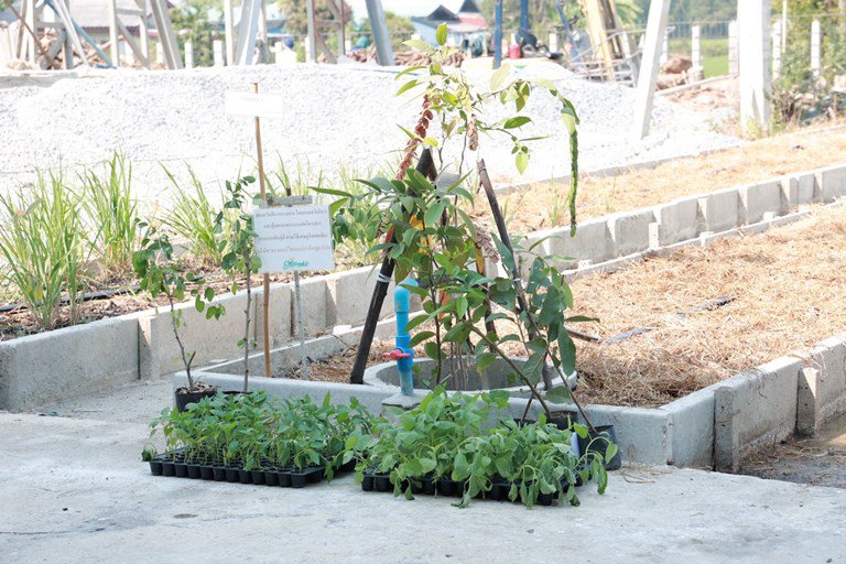 ดีพร้อม ลงพื้นที่เยี่ยมชมสถานประกอบการผู้นำด้านอาหารสุขภาพ
