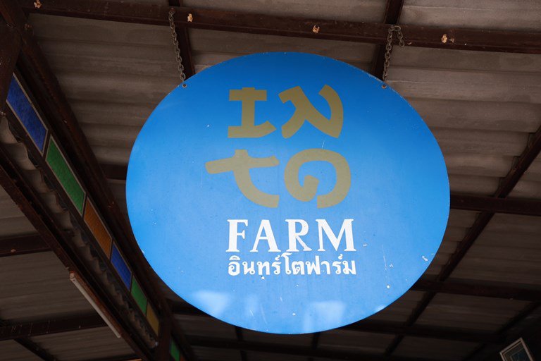 “อธิบดีใบน้อย” ลงพื้นที่เมืองรอง เยี่ยมชุมชนดีพร้อมสวนเมล่อน อินทร์โตฟาร์ม