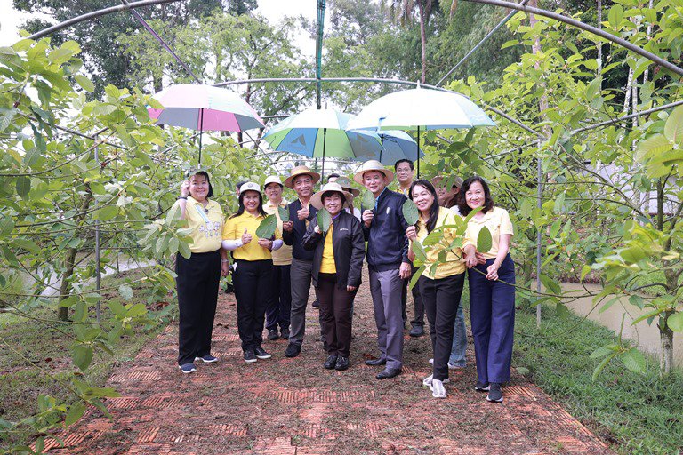 ดีพร้อม ต่อยอดหลาดท่อมโรงสีสู่แหล่งเรียนรู้การแปรรูปสมุนไพรชั้นนำในประเทศไทย