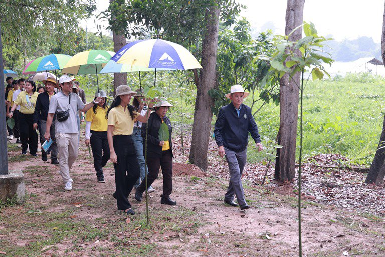 ดีพร้อม ต่อยอดหลาดท่อมโรงสีสู่แหล่งเรียนรู้การแปรรูปสมุนไพรชั้นนำในประเทศไทย