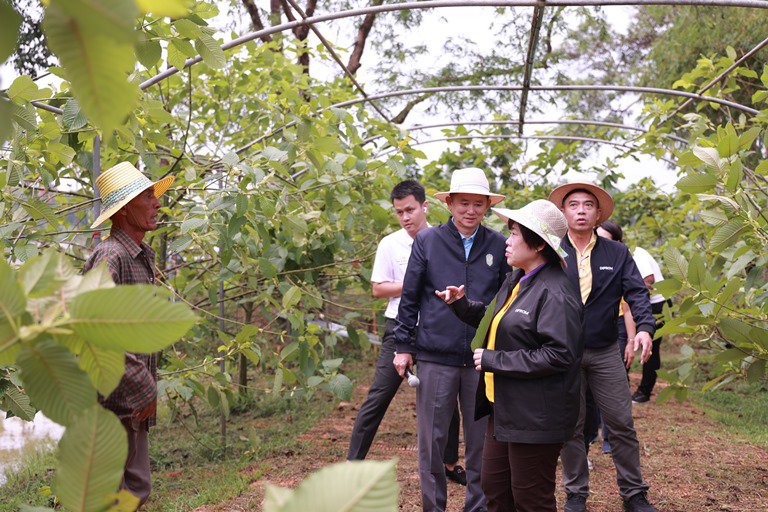 ดีพร้อม ต่อยอดหลาดท่อมโรงสีสู่แหล่งเรียนรู้การแปรรูปสมุนไพรชั้นนำในประเทศไทย