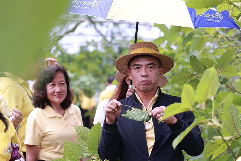ดีพร้อม ต่อยอดหลาดท่อมโรงสีสู่แหล่งเรียนรู้การแปรรูปสมุนไพรชั้นนำในประเทศไทย