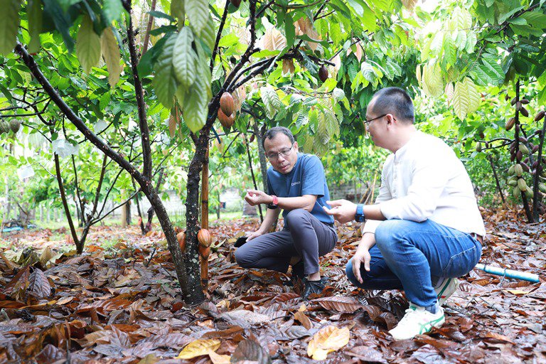 ดีพร้อม เยี่ยมชม cacoa valley ต้นแบบ “โมเดลชุมชนดีพร้อม” 