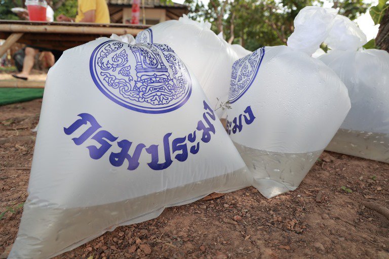 "ดีพร้อมภาคเหนือ" รวมพลังจิตอาสา ปล่อยปลาและปลูกต้นไม้ เฉลิมพระเกียรติ วันแม่แห่งชาติ