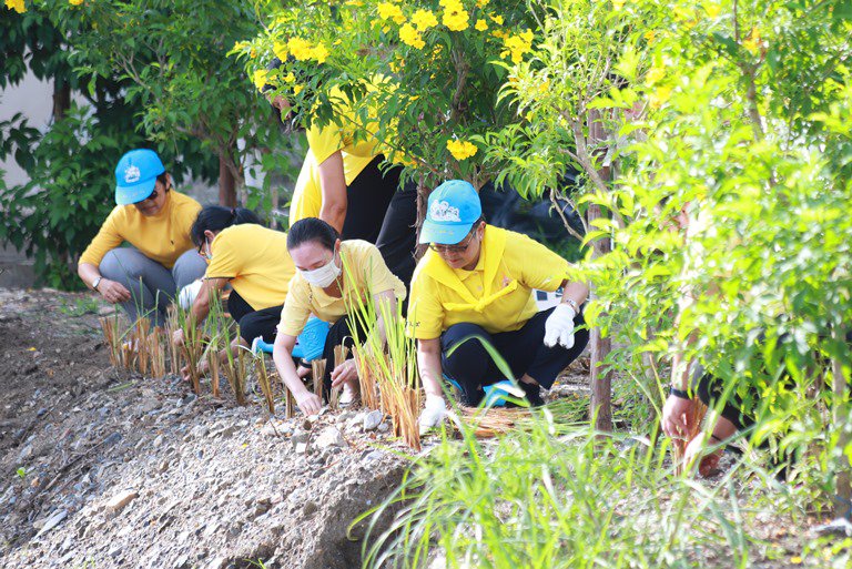 "อธิบดีใบน้อย" นำทีมชาวดีพร้อมรวมพลังจิตอาสาปลูกต้นหญ้าแฝก จำนวน 100,000 ต้น 