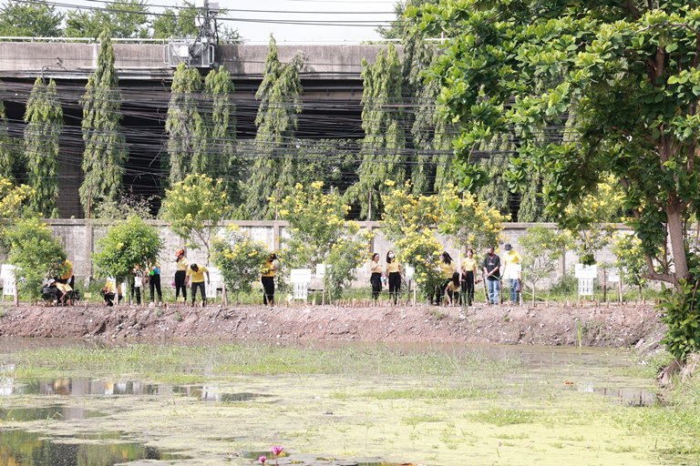 "อธิบดีใบน้อย" นำทีมชาวดีพร้อมรวมพลังจิตอาสาปลูกต้นหญ้าแฝก จำนวน 100,000 ต้น 