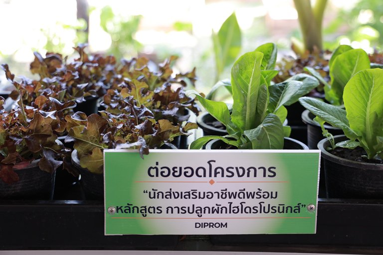 "อธิบดีใบน้อย" นำทีม DIPROM JAPAN DESK ผนึกกำลัง DC6 เชื่อมโยงผู้ประกอบการไทย - ญี่ปุ่น