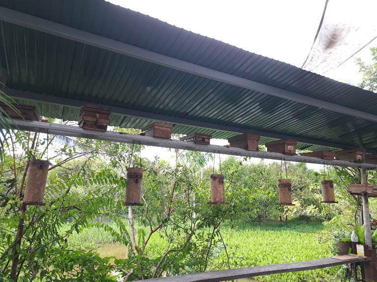 ดีพร้อม ขับเคลื่อนวิสาหกิจชุมชนฯ ผู้เลี้ยงชันโรงบ้านทับมา 