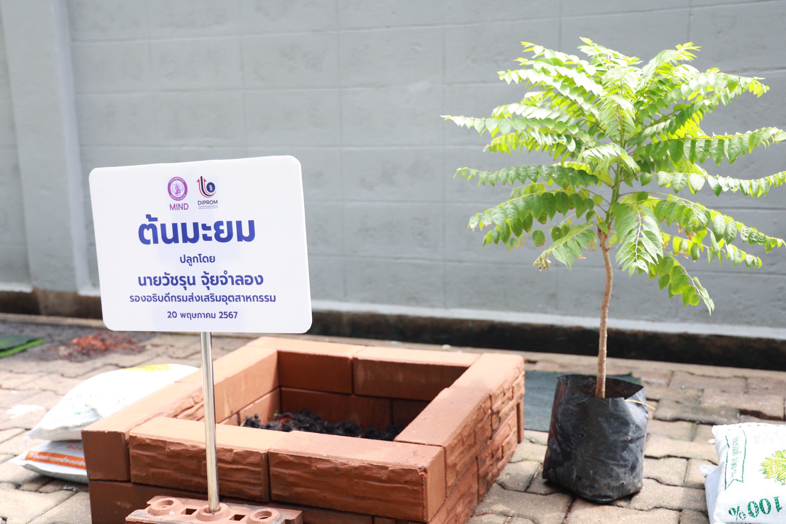 “อธิบดีภาสกร” นำทีมดีพร้อม รวมพลังปลูกต้นไม้ เนื่องในวันต้นไม้ของชาติประจำปี 2567
