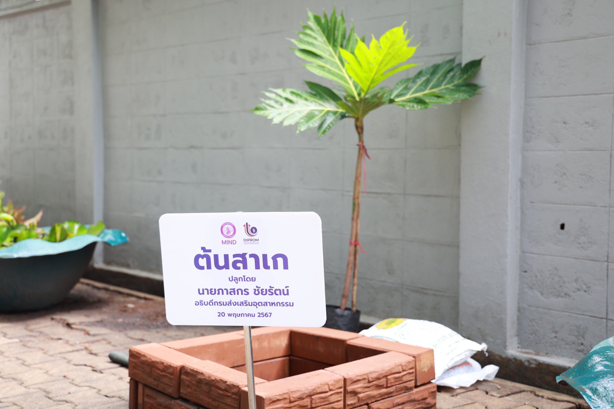 “อธิบดีภาสกร” นำทีมดีพร้อม รวมพลังปลูกต้นไม้ เนื่องในวันต้นไม้ของชาติประจำปี 2567