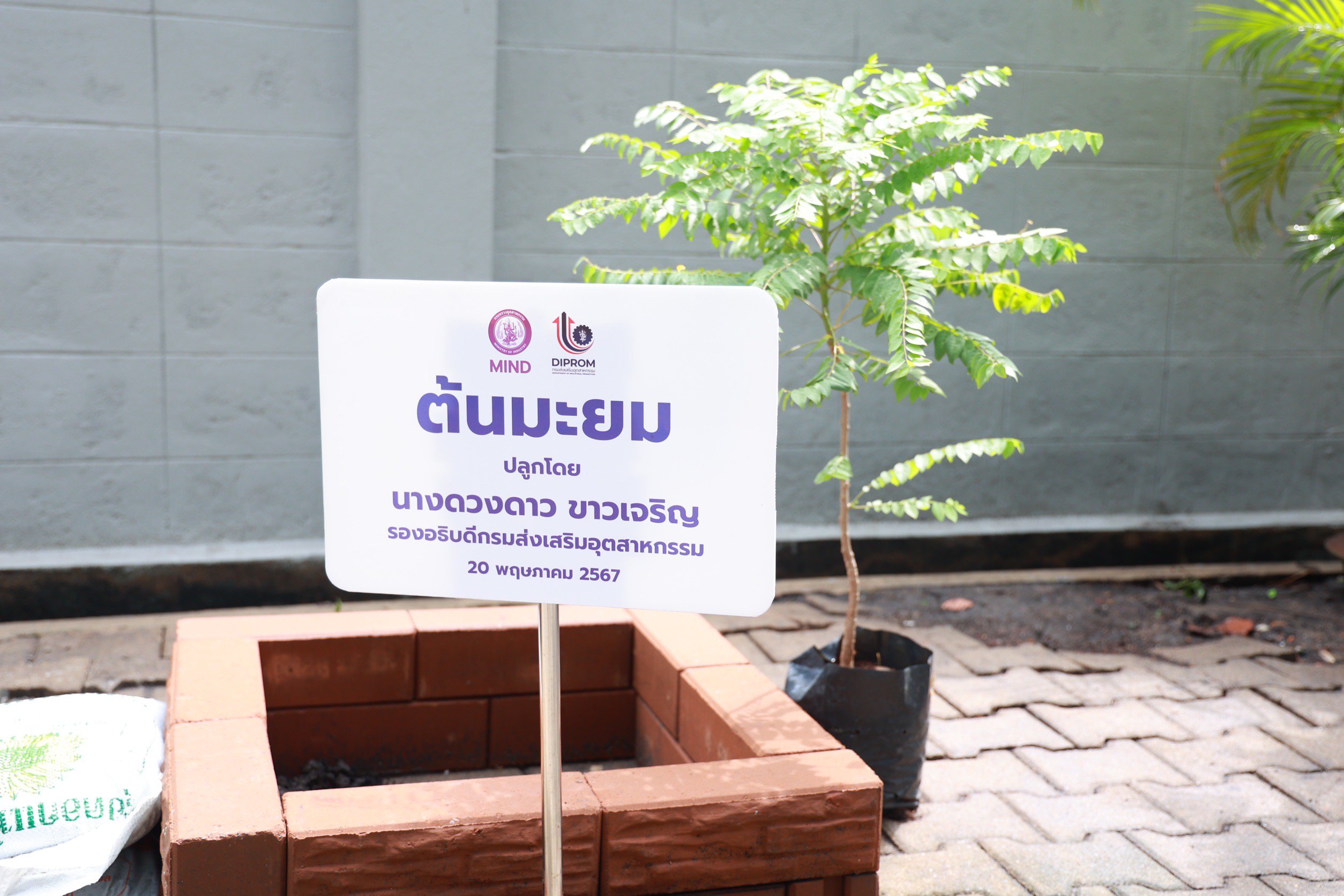 “อธิบดีภาสกร” นำทีมดีพร้อม รวมพลังปลูกต้นไม้ เนื่องในวันต้นไม้ของชาติประจำปี 2567