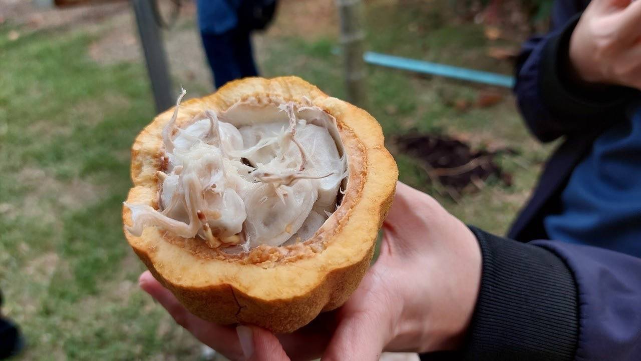 "รสอ.วาที" ลงพื้นที่จังหวัดน่าน หารือแนวทางพัฒนาการพัฒนาโกโก้ไทย