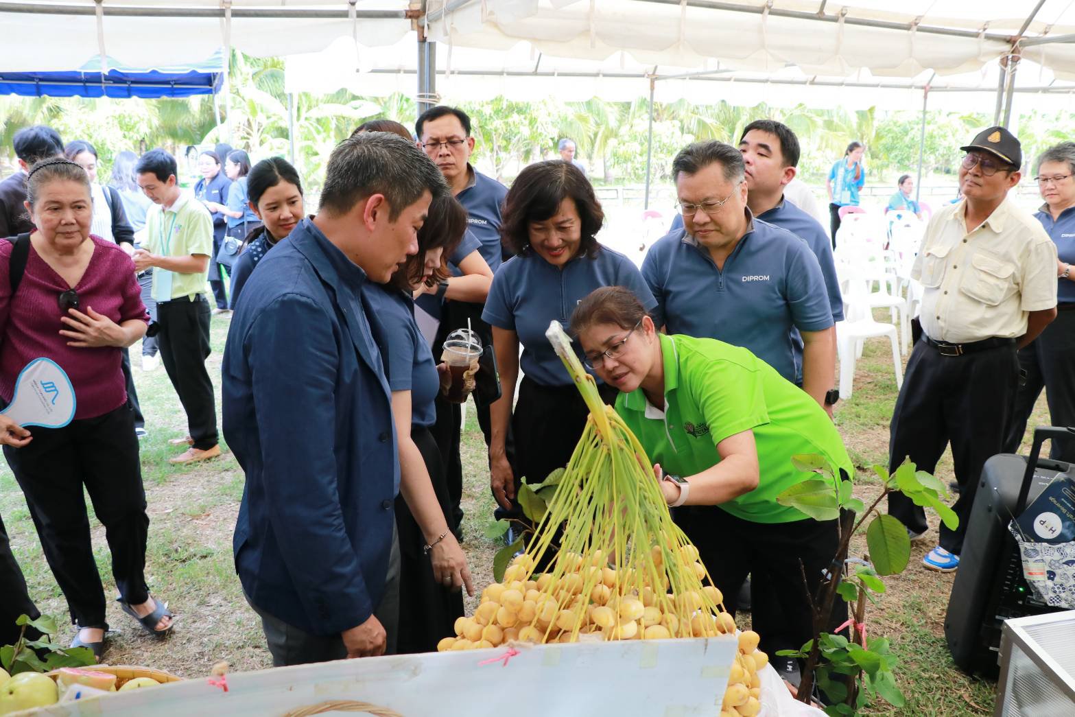 “อสอ.ภาสกร” ลงพื้นที่จังหวัดนครราชสีมา ผลักดัน โกโก้นครชัยบุรินทร์