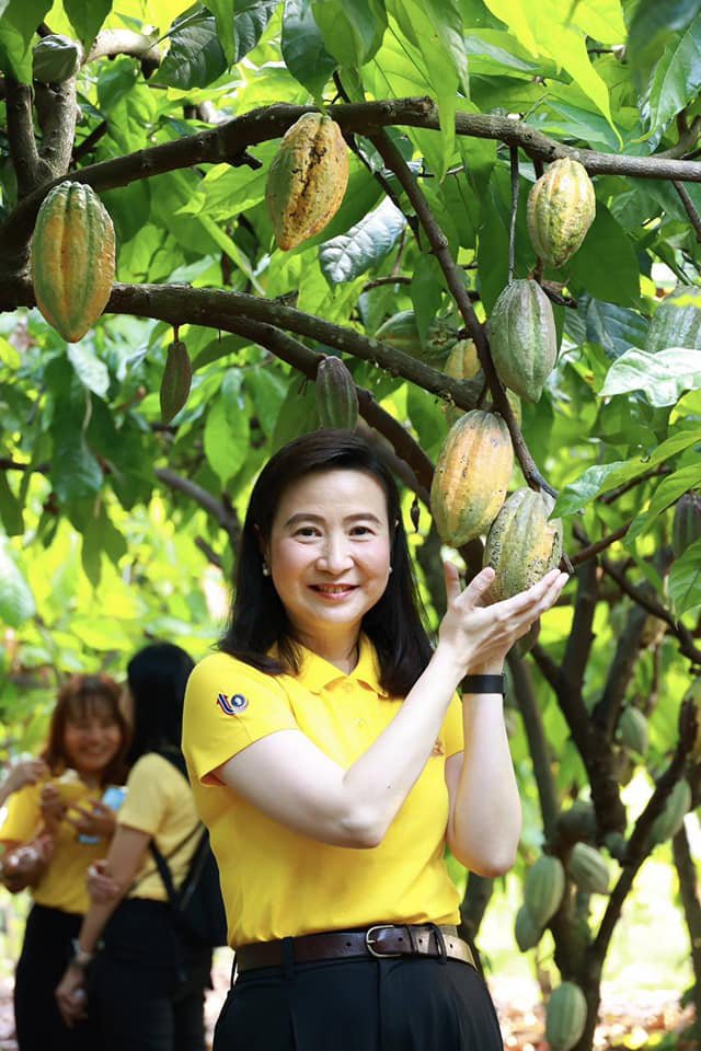 “รมว.เอกนัฏ” เปิดโร้ดแม็ป 3 ปี ดันไทย “ฮับโกโก้แห่งอาเซียน” เชื่อมท่องเที่ยวด้วยซอฟต์พาวเวอร์ โชว์ศักยภาพ “ดีพร้อม” ยกระดับผู้ประกอบการโกโก้สู่สินค้า GI โกยรายได้เพิ่มอีก 8 พันล้านบาท