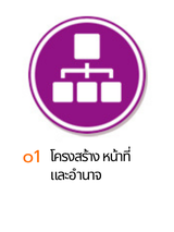 o1 โครงสร้าง
